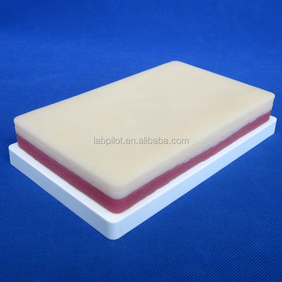 Simuladores de Ensino Médico Elastic 3 camadas Cirúrgico Suturing Pad para músculo e pele