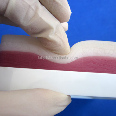 Simuladores de Ensino Médico Elastic 3 camadas Cirúrgico Suturing Pad para músculo e pele