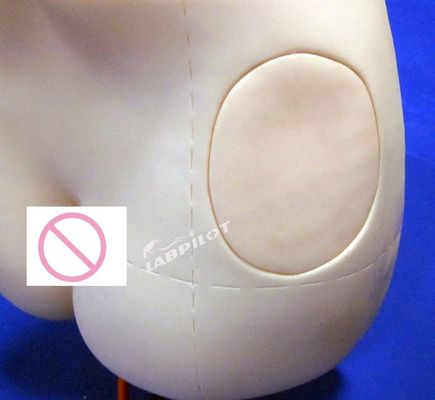 Simulador de ensino avançado de injecção intramuscular de PVC para a disciplina de Ciências Médicas