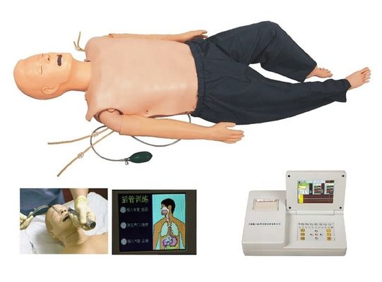 Manikin de PVC para formação médica nas categorias de ACLS e modelo de intubação IV