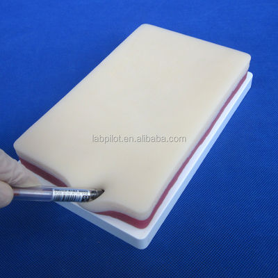 Manikin Tamanho de vida humana Pad de prática de sutura de 3 camadas para o modelo de treinamento de gordura e músculos da pele