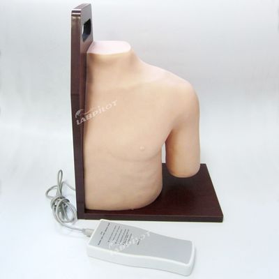 Subject Ciências Médicas Manikin Injeção Electrónica do ombro Simulador de Treinamento da articulação Modelo de Enfermagem