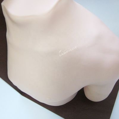 Subject Ciências Médicas Manikin Injeção Electrónica do ombro Simulador de Treinamento da articulação Modelo de Enfermagem