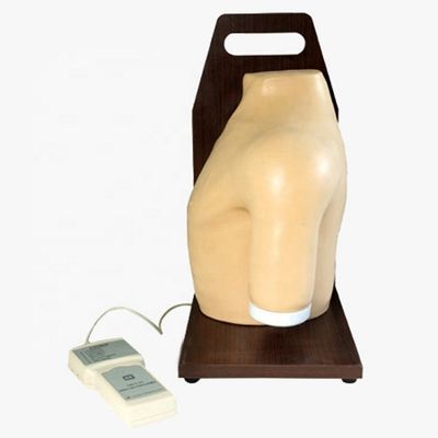 Subject Ciências Médicas Manikin Injeção Electrónica do ombro Simulador de Treinamento da articulação Modelo de Enfermagem