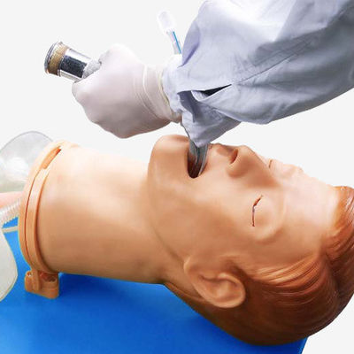 Cabeça de intubação de anatomia viva para modelo eletrônico de gestão de vias aéreas multifuncional