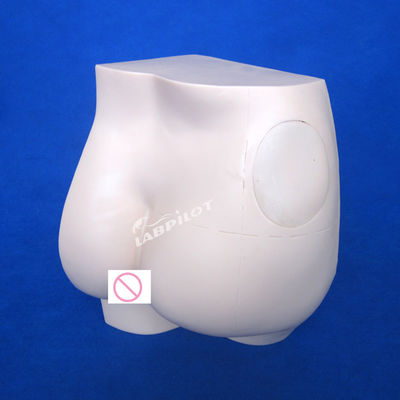 Modelo de Prática de Injecção Intramuscular de Manikin Hip Profissional para Formação Médica