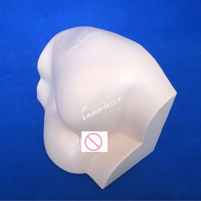 Modelo de Prática de Injecção Intramuscular de Manikin Hip Profissional para Formação Médica