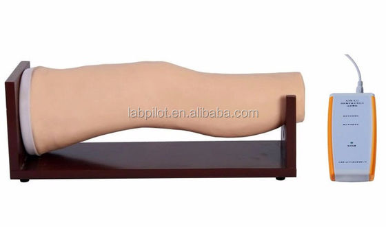 Modelo de Treinamento de Injeção Intraarticular da Articulação do Joelho Vivo Eletrônico para Habilidades de Enfermagem Clínica