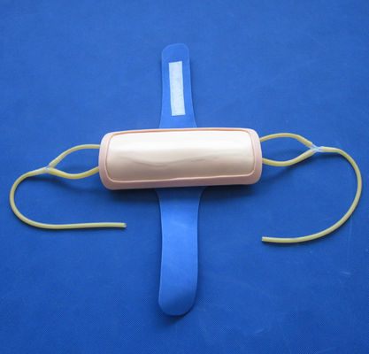 Pad avançado de treinamento de venenção de antebraço de PVC IV Pad de injeção para ciência médica