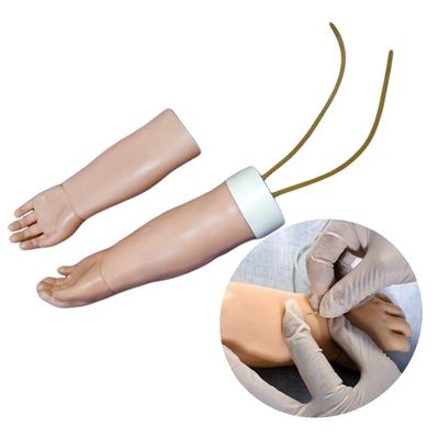 Ciências Médicas Subjecto Venipuncture Portátil Modelo de Treinamento de Braço com Pele Substituível