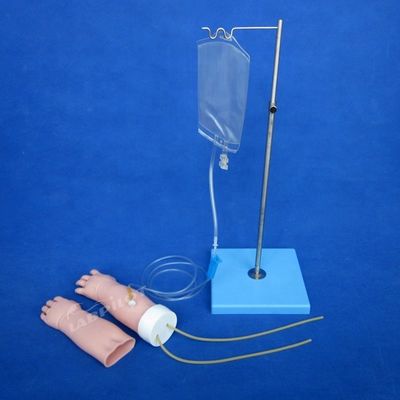 Ciências Médicas Subjecto Venipuncture Portátil Modelo de Treinamento de Braço com Pele Substituível