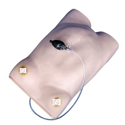 Manikin avançado de cuidados de enfermagem de maternidade de PVC essencial para treinamento de palpação de maternidade