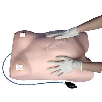 Manikin Modelo de Palpação de Maternidade Eletrônica com Função de Auscultação Ginecológica