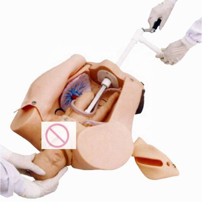 Manikin de primeiros socorros para pacientes Demonstração de cuidados Simulador de ensino de parto avançado