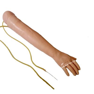 Ciências Médicas Venipunctura e Injecção IM Modelo de Treinamento de Braço com Pele Poupada