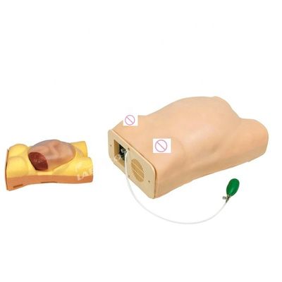 Tamanho de vida humana Gravidez Maniquim Auscultation Simulador de ensino para ciência médica