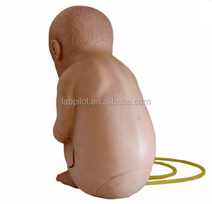 Manikin de tamanho humano para Pediatria Prática de Treinamento de Punção Vertebral Spinal