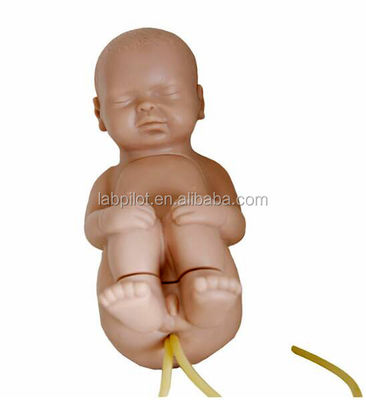 Manikin de tamanho humano para Pediatria Prática de Treinamento de Punção Vertebral Spinal