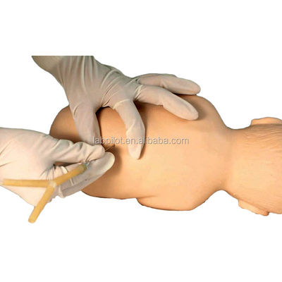 Manikin de tamanho humano para Pediatria Prática de Treinamento de Punção Vertebral Spinal