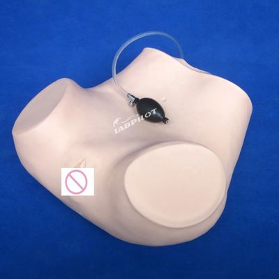 Exame ginecológico de palpação de PVC Manikin com função contraceptiva