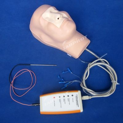 Cauterização nasal hemostase e embalagem de treinamento manequim para função modelo médico