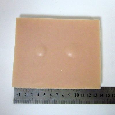 Kit de Treinamento Clínico Profissional para Ciências Médicas Cirurgia Menor Multifuncional
