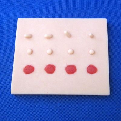 Kit de Treinamento Clínico Profissional para Ciências Médicas Cirurgia Menor Multifuncional