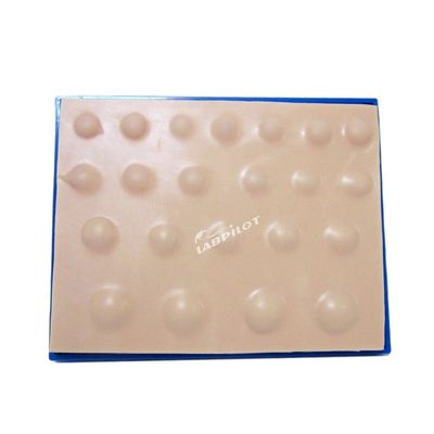 Modelo avançado de incisão de PVC para ensinar habilidades de incisão e drenagem de abscesso em 2023