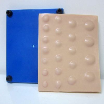Modelo avançado de incisão de PVC para ensinar habilidades de incisão e drenagem de abscesso em 2023