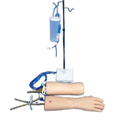 Modelo de Treinamento de Infusão IV Pele macia Mão e Cotovelo Braço de Treinamento de Transfusão Intravenosa