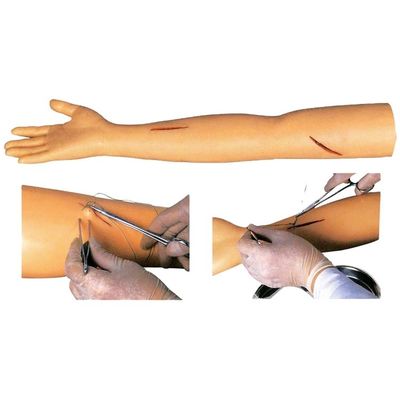 Manikin para a prática avançada de sutura Cirúrgica Modelo de braço de treinamento de sutura