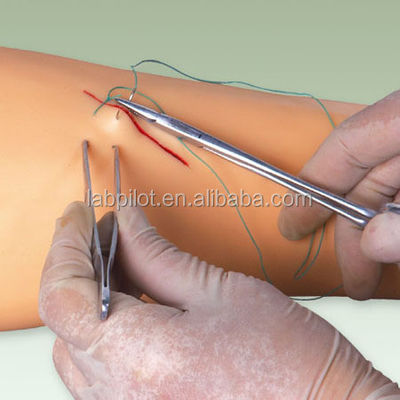 Manikin para a prática avançada de sutura Cirúrgica Modelo de braço de treinamento de sutura