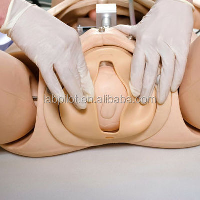 Sistema avançado de formação em competências de obstetrícia em PVC para cuidados de emergência e enfermagem no parto