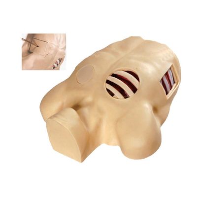 Manikin de descompressão de pneumotórax de PVC avançado para simulação artificial de hidrotórax