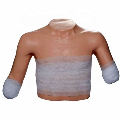 Ciências Médicas Treinamento de cuidados com pacientes membros superiores Amputação do tronco Vestimento e curativos simulados Modelo de treinamento