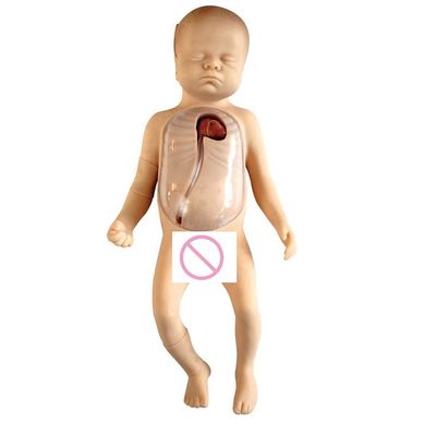 Manikin de amamentação de bebê de tamanho humano com cuidados neonatais Modelo PICC