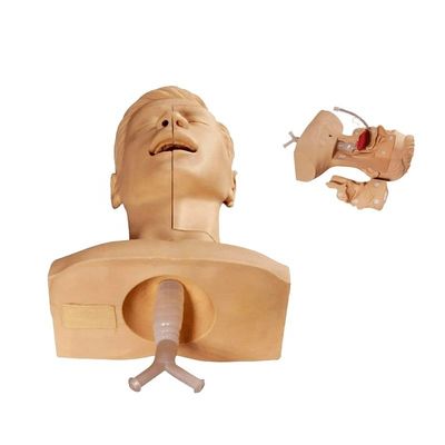 Treinamento de Enfermagem Manikin Simulador Avançado de Sucção para Aspiração de Espetro Eficaz