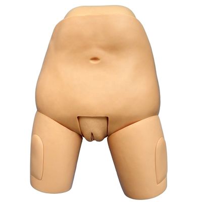 Simulador de Enfermagem de Manikin Pós-parto para Ciência Médica