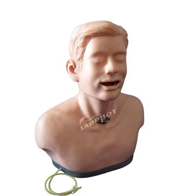 2023 Adultos Cuidados de Traqueotomia e Sucção Enfermagem Manikin Hospitais' Top Training Tool