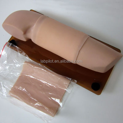 Manikin para habilidades obstétricas e ginecológicas Modelo de contracepção de ensino Modelo de braço