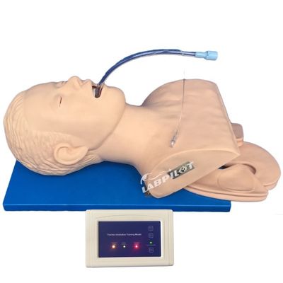 Instrução de competências de emergência Intubation Training Simulator with Electronic Monitor