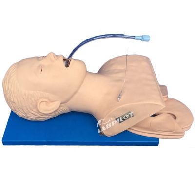 Instrução de competências de emergência Intubation Training Simulator with Electronic Monitor