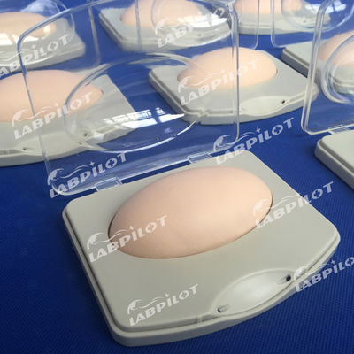 Pad avançado de demonstração de implantação subcutânea de PVC para treinamento de planejamento familiar