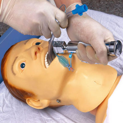 Simuladores de Ensino Médico Treinamento de Enfermagem Manikin para alimentação e intubação por tubo NG