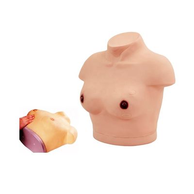 Manikin de corpo feminino vivo com exame de mama e palpação modelo de demonstração