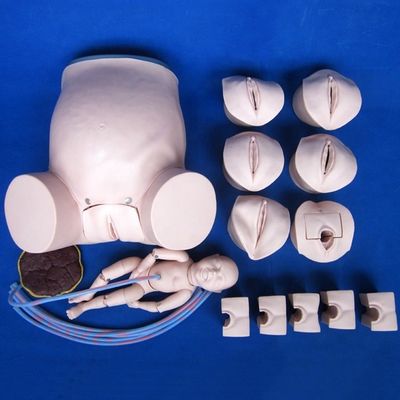 Manual de parto avançado de PVC Categorias para treinamento de parto de mulheres grávidas