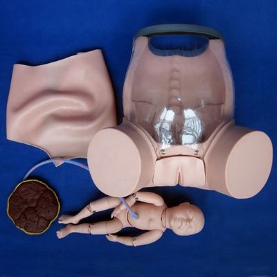 Demonstração de cuidados com os pacientes Formação integral de habilidades de parto Modelo de formação técnica de obstetrícia Maniquim