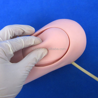 Modelo avançado de PVC para a Ciência Médica