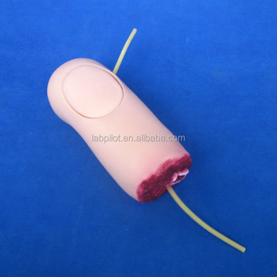 Modelo avançado de PVC para a Ciência Médica