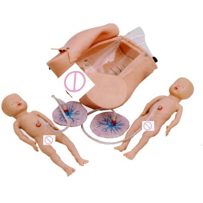 Manikin para manobras de Leopold e formação em competências de parto no programa de enfermagem e parteira